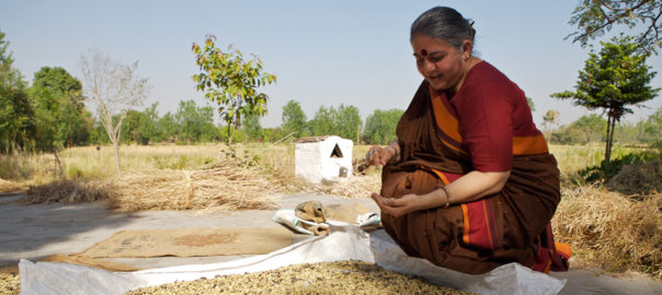 “La Democrazia della Terra” di Vandana Shiva