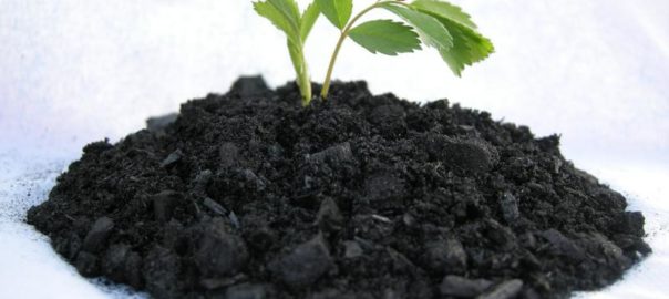 Biochar: ecco come si prepara